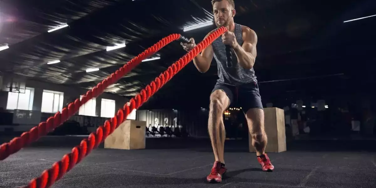 Descobrindo a Variedade de Exercícios de Musculação Fortaleça seu Corpo com Diferentes Modalidades e Técnicas